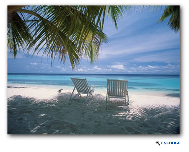 Royal Caribbean Warns that Americans are Wasting 459 Million Vacation Days Each Year