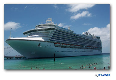 In celebration of the most romantic holiday of the year, and to usher in the newest members of its Department of Romance, Princess Cruises is hosting the first-ever Romance Summit cruise.